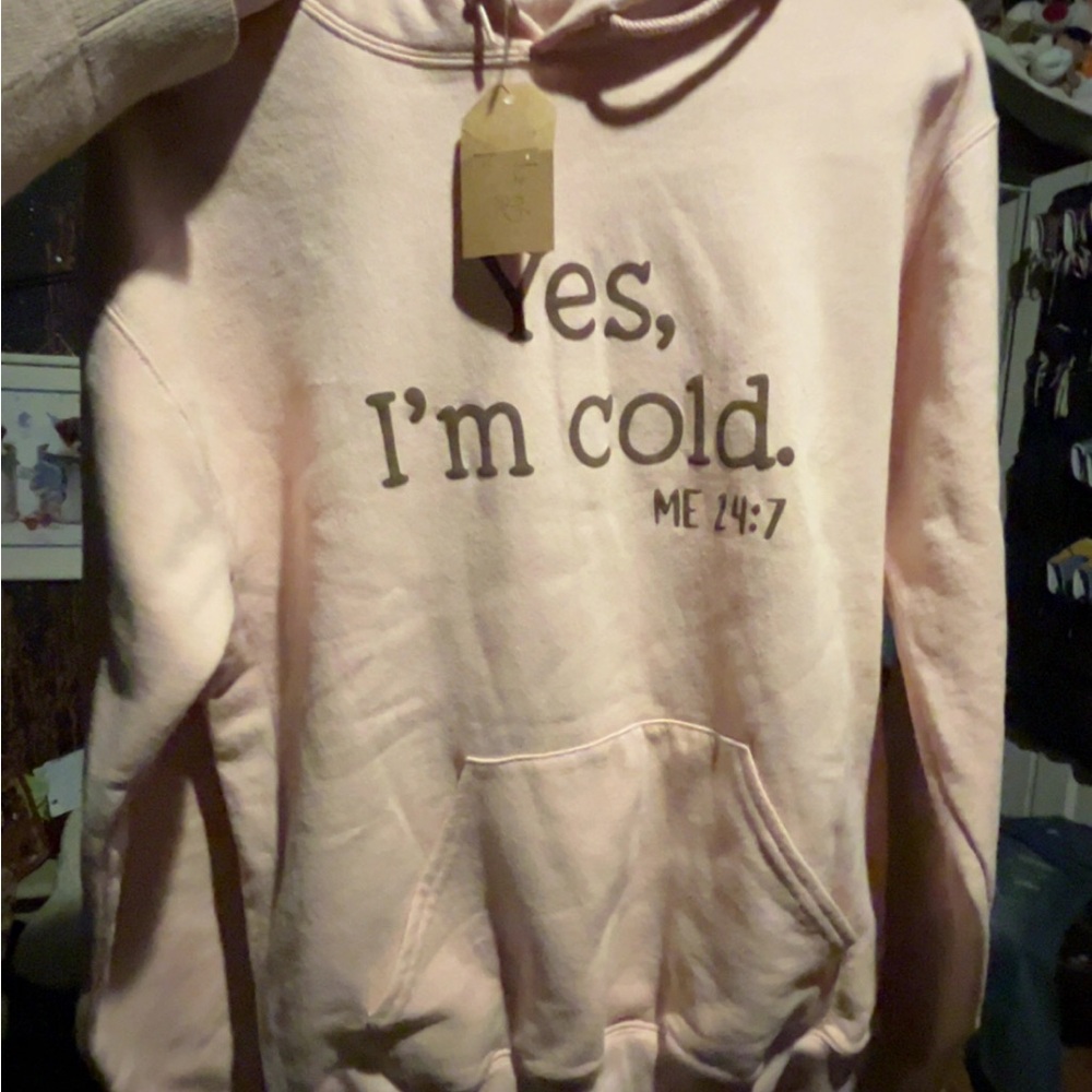 Pink Hoodie with Fun Text